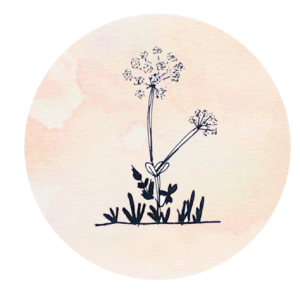 admin ajax removebg preview